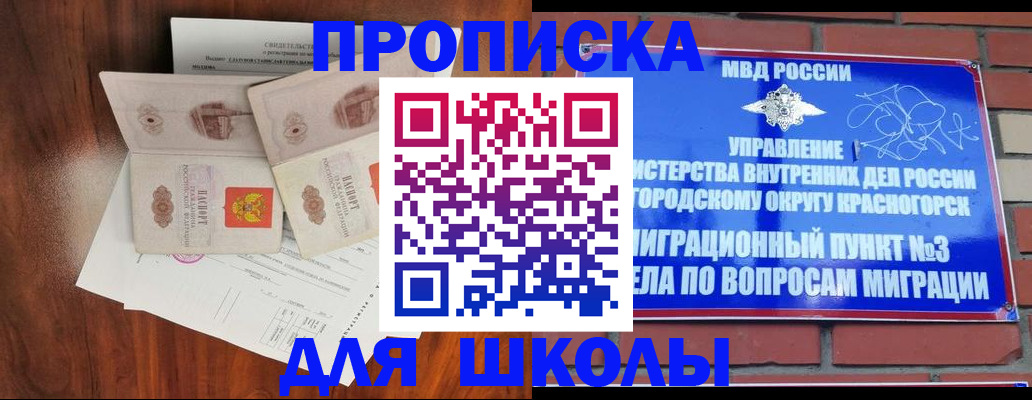 прописка поиск в Чечне